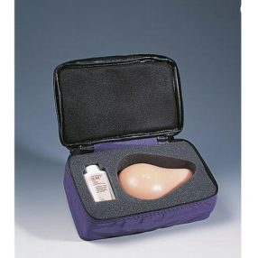 Mell önvizsgáló modell