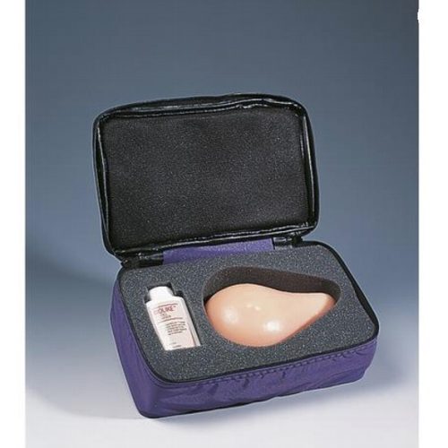 Mell önvizsgáló modell