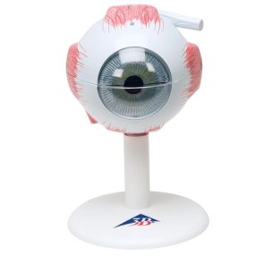 Szem mulage - 3x-os nagyítás 6 részes