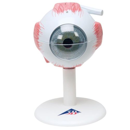 Szem mulage - 3x-os nagyítás 6 részes