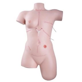 Sebellátás és kötözési technikák gyakorló model