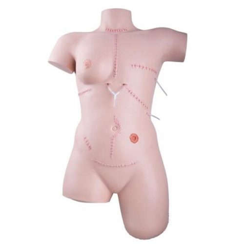 Sebellátás és kötözési technikák gyakorló model