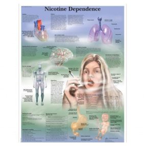 Nikotin függőség - angol
