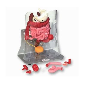 Teljes Otto osztómia csomag