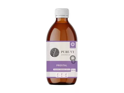 Pure Vi Prostal - fűszeres-tökmagos latte íz 300 ml