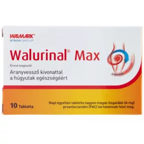 IDELYN WALURINAL MAX TABLETTA 10X WAL