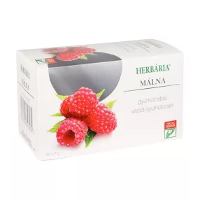 Gyümölcstea málna ízű 20x 73473