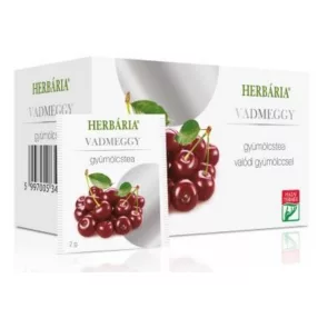 Gyümölcstea vadmeggy ízű 20x 73475