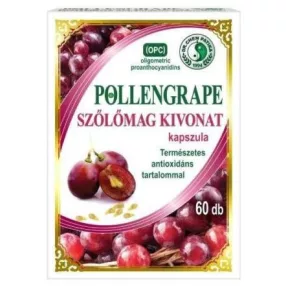 DR.CHEN POLLENGRAPE KAPSZULA 60X