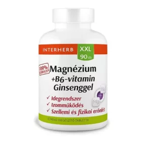 INTERHERB XXL MAGN B6 GINSENG TABL 90X