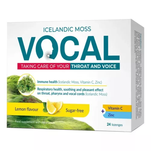 VOCAL SZOPOGATÓ TABLETTA CITROM 24X