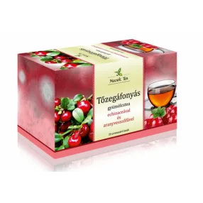 MECSEK TŐZÁFONYA ECHINA AVESSZ TEA 20X2G