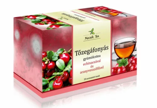 MECSEK TŐZÁFONYA ECHINA AVESSZ TEA 20X2G