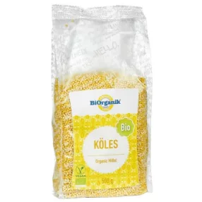 BIORGANIK BIO KÖLES 500G