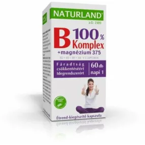 B100% KOMPLEX MAGN 375 KAPSZ 60X NLAND