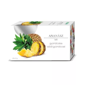GYÜMÖLCSTEA ANANÁSZ FILTER 20X2G 73488