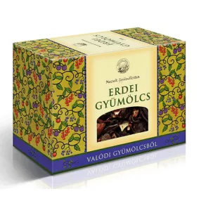 MECSEK ERDEI GYÜMÖLCS TEA 1X 100G