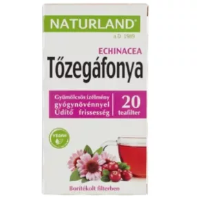 TŐZEGÁFONYA ECHIN GYÜM TEA 20X 2G NLAND