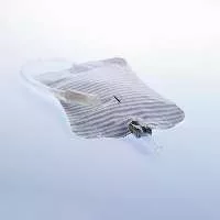 Conveen testen viselt vizeletgyűjtő lábzsák 350 ml - 800 ml