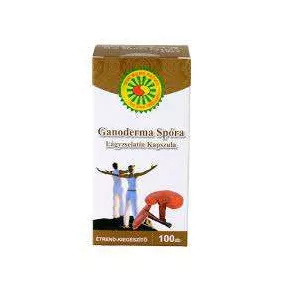 GANODERMA SPÓRA LÁGYZSELATIN KAPSZULA 100 DB