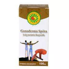 GANODERMA SPÓRA LÁGYZSELATIN KAPSZULA 100 DB